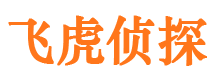 安化婚外情调查